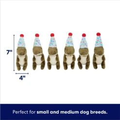 Frisco Birthday Volcano & Dinosaurs Hide & Seek Puzzle Plush Squeaky Dog Toy -Frisco 264424 PT2. AC SS1800 V1695761147