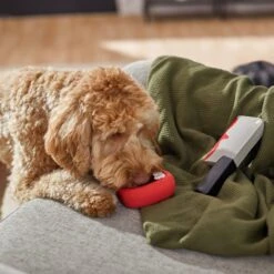 Frisco Halloween Vampire Teeth & Knife Latex Squeaky Dog Toy -Frisco 270512 PT3. AC SS1800 V1624817093