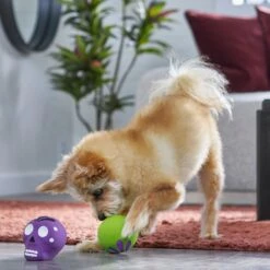 Frisco Halloween Sugar Skulls Latex Squeaky Dog Toy -Frisco 270518 PT3. AC SS1800 V1689878507