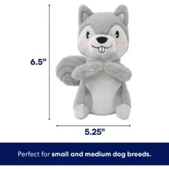 Frisco Camping Squirrel Plush Squeaky Dog Toy 9 Frisco Camping Squirrel Plush Squeaky Dog Toy -Frisco 271001 PT1. AC SS1800 V1686579631