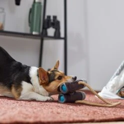 Frisco Camping Binoculars Plush With Rope Squeaky Dog Toy -Frisco 271009 PT3. AC SS1800 V1625009167