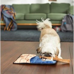 Frisco Camping Smores & Sleeping Bag Flat Plush Squeaky Dog Toy, 2 Count 7 Frisco Camping Smores & Sleeping Bag Flat Plush Squeaky Dog Toy, 2 Count -Frisco 271018 PT3. AC SS1800 V1625009010