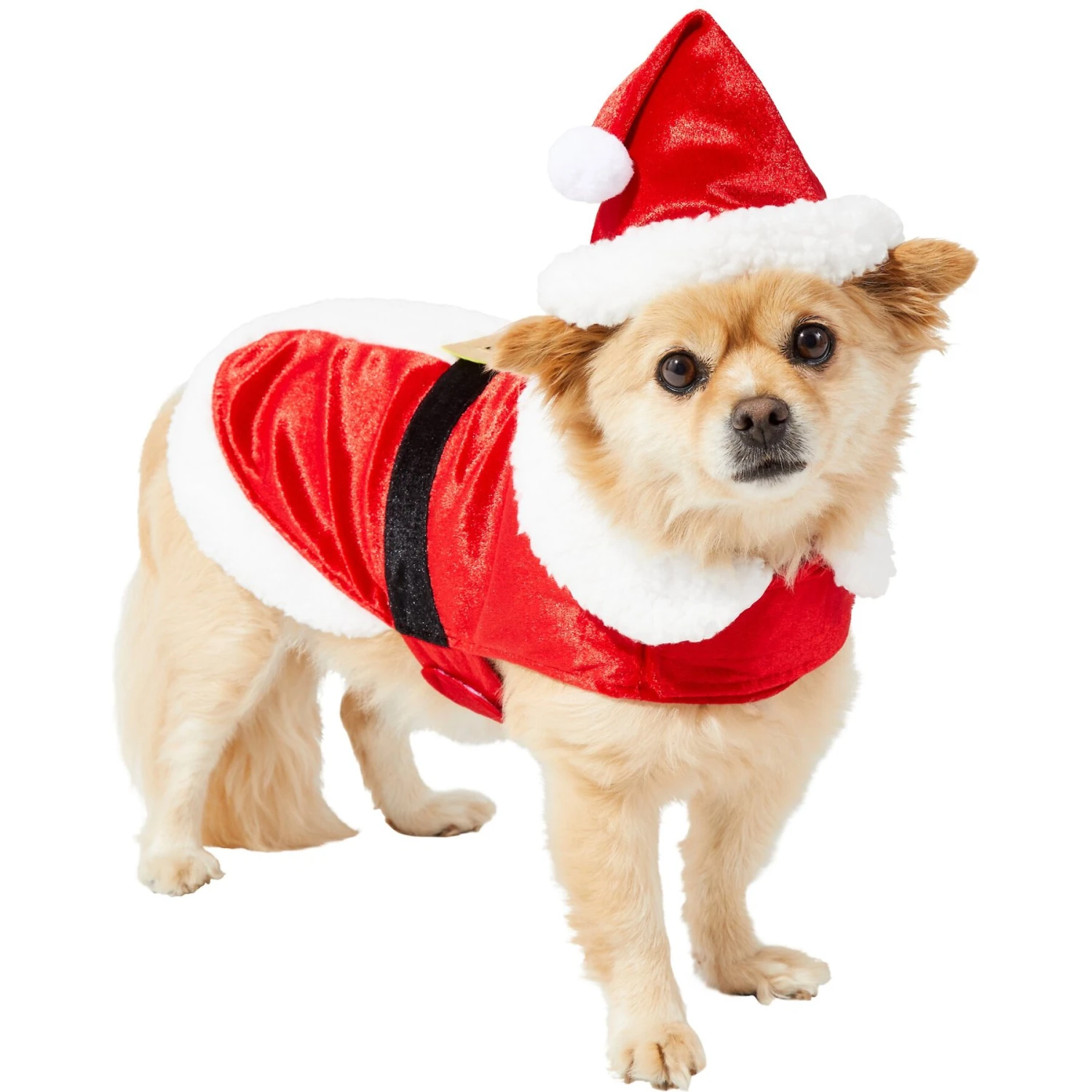 Frisco Mr. Claus Dog & Cat Costume 3 Frisco Mr. Claus Dog & Cat Costume
