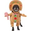 Frisco Front Walking Gingerbread Dog & Cat Costume 1 Frisco Front Walking Gingerbread Dog & Cat Costume -Frisco 276156 MAIN. AC SS1800 V1631659697