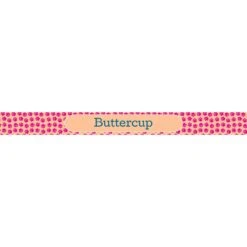 Frisco Personalized General Dog & Cat Small Dog Bowl -Frisco 278924 PT2. AC SS1800 V1629146685