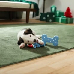 Frisco Blue Bundle Latex Squeaky Puppy Toy, 2 Count 9 Frisco Blue Bundle Latex Squeaky Puppy Toy, 2 Count -Frisco 287185 PT3. AC SS1800 V1632775643