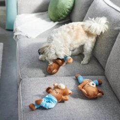 Frisco New Year, New Me Namaste Bear Plush Squeaky Dog Toy 7 Frisco New Year, New Me Namaste Bear Plush Squeaky Dog Toy -Frisco 288905 PT3. AC SS1800 V1638291398