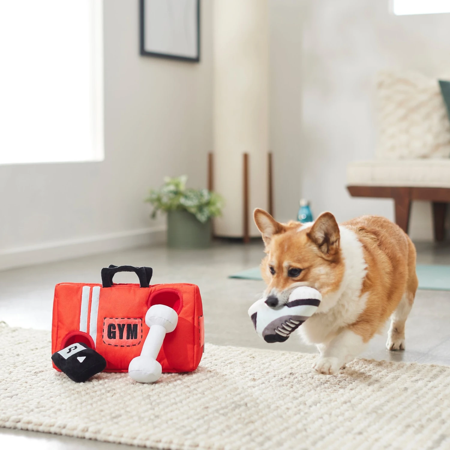 Frisco Gym Bag Hide & Seek Puzzle Plush Squeaky Dog Toy 5 Frisco Gym Bag Hide & Seek Puzzle Plush Squeaky Dog Toy - Image 3