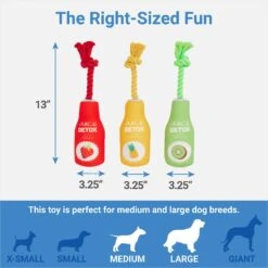 Frisco New Year, New Me Juice Cleanse Plush Squeaky Dog Toy -Frisco 288929 PT1. AC SS1800 V1640722486