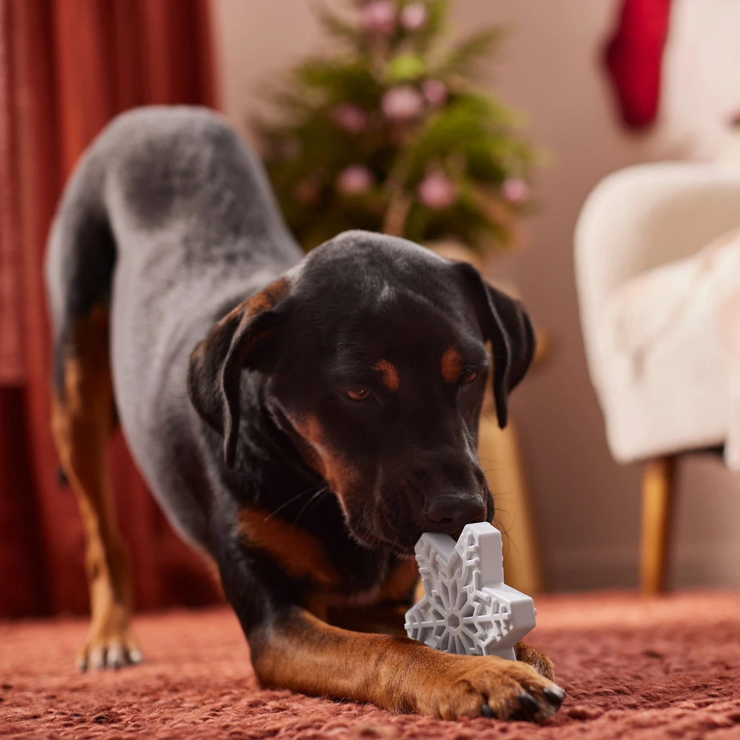 Frisco Holiday Nylon Snowflake Dog Chew Toy, Peanut Butter Flavor, Medium 5 Frisco Holiday Nylon Snowflake Dog Chew Toy, Peanut Butter Flavor, Medium - Image 3