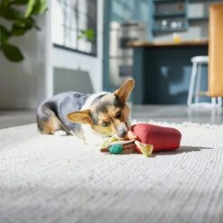 Frisco Brunch Bloody Mary Plush Squeaky Dog Toy 7 Frisco Brunch Bloody Mary Plush Squeaky Dog Toy -Frisco 297228 PT2. AC SS1800 V1642088343