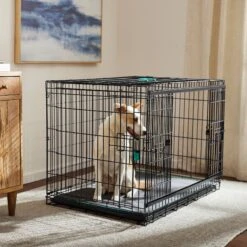 Frisco 32 Frisco Heavy Duty Enhanced Lock Sliding Double Door Fold & Carry Wire Dog Crate & Mat Kit