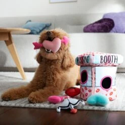 Frisco Valentine Kissing Booth Hide & Seek Puzzle Plush Squeaky Dog Toy 10 Frisco Valentine Kissing Booth Hide & Seek Puzzle Plush Squeaky Dog Toy -Frisco 298943 PT3. AC SS1800 V1638987417