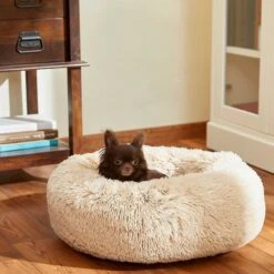 Frisco Eyelash Cat & Dog Bolster Bed & Frisco Eyelash Cat & Dog Bolster Bed 15 Frisco Eyelash Cat & Dog Bolster Bed & Frisco Eyelash Cat & Dog Bolster Bed -Frisco 302450 PT4. AC SS1800 V1623046356