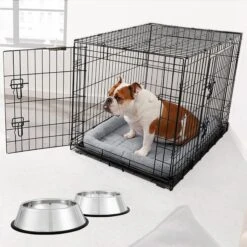 Frisco 42 Frisco Fold & Carry Double Door Collapsible Wire Dog Crate & Mat Kit & Frisco Stainless Steel Bowl