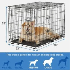 Frisco Fold & Carry Double Door Collapsible Wire Dog Crate & Mat Kit & Frisco Stainless Steel Bowl 12 Frisco Fold & Carry Double Door Collapsible Wire Dog Crate & Mat Kit & Frisco Stainless Steel Bowl -Frisco 303428 PT2. AC SS1800 V1623055045