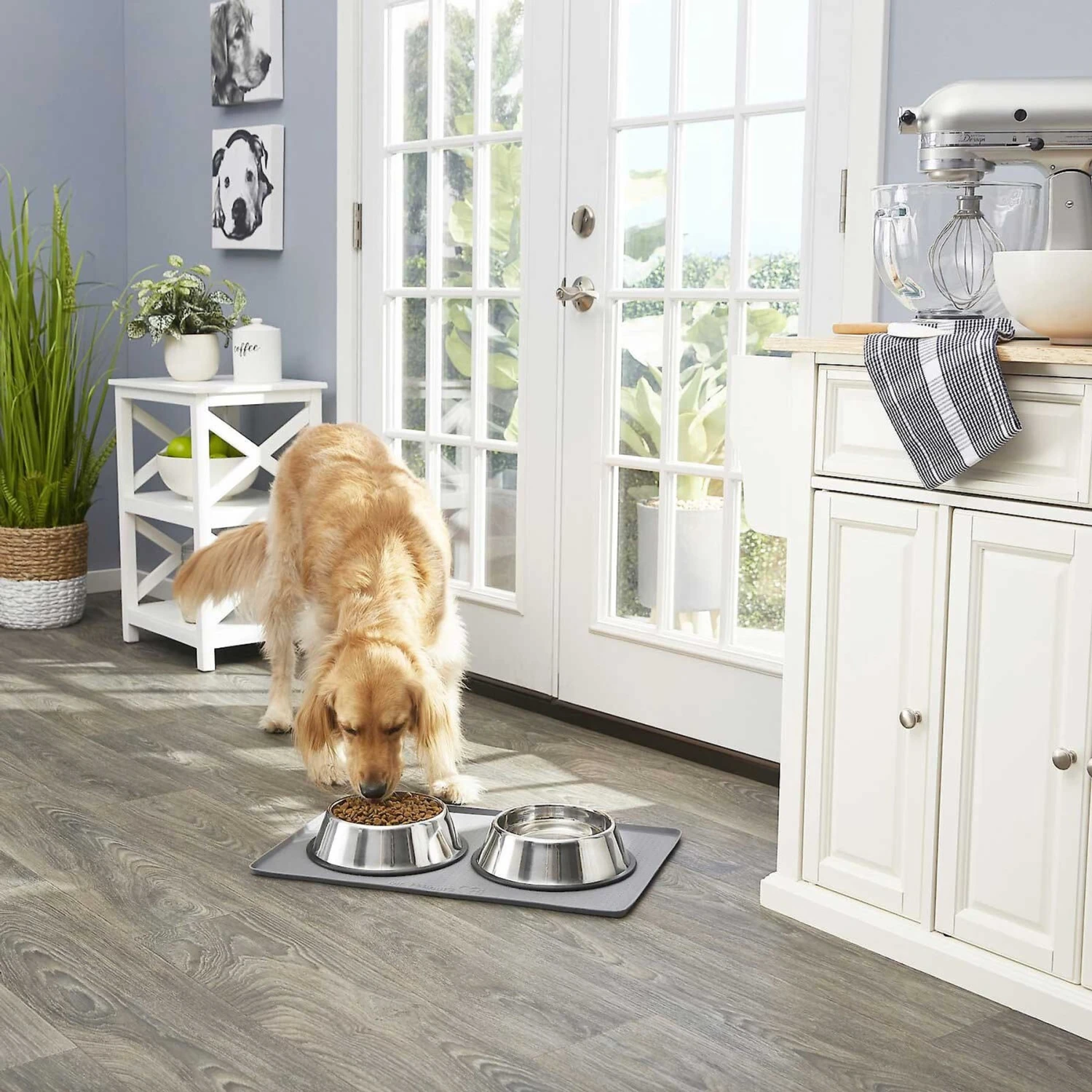 Frisco Fold & Carry Double Door Collapsible Wire Dog Crate & Mat Kit & Frisco Stainless Steel Bowl 10 Frisco Fold & Carry Double Door Collapsible Wire Dog Crate & Mat Kit & Frisco Stainless Steel Bowl - Image 8