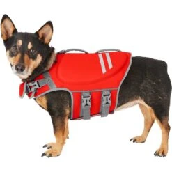 Frisco Neoprene Dog Life Jacket & Frisco Foam Rubber Floating Fetch Ball No Squeak Dog Toy 11 Frisco Neoprene Dog Life Jacket & Frisco Foam Rubber Floating Fetch Ball No Squeak Dog Toy -Frisco 303480 PT1. AC SS1800 V1623062848