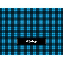 Frisco Personalized Plaid Soft Fleece Cat & Dog Blanket, 30" X 40" -Frisco 303999 PT4. AC SS1800 V1637610236