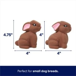 Frisco Easter Chocolate Bunnies Latex Squeaky Dog Toy -Frisco 304956 PT1. AC SS1800 V1700162922