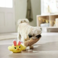 Frisco Easter Chick In Nest 2-in-1 Plush Squeaky Dog Toy 10 Frisco Easter Chick In Nest 2-in-1 Plush Squeaky Dog Toy -Frisco 304962 PT4. AC SS1800 V1702500565