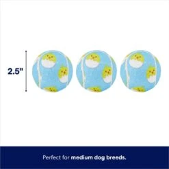Frisco Easter Fetch Squeaky Tennis Ball Dog Toy, Medium, 3 Count -Frisco 304964 PT1. AC SS1800 V1672780522