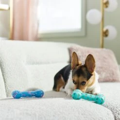 Frisco Easter TPR Bone Squeaky Dog Toy, Medium/Large, 2 Count 10 Frisco Easter TPR Bone Squeaky Dog Toy, Medium/Large, 2 Count -Frisco 304966 PT4. AC SS1800 V1670608502