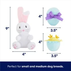 Frisco Easter Basket Hide & Seek Puzzle Plush Squeaky Dog Toy 10 Frisco Easter Basket Hide & Seek Puzzle Plush Squeaky Dog Toy -Frisco 304982 PT2. AC SS1800 V1702665735