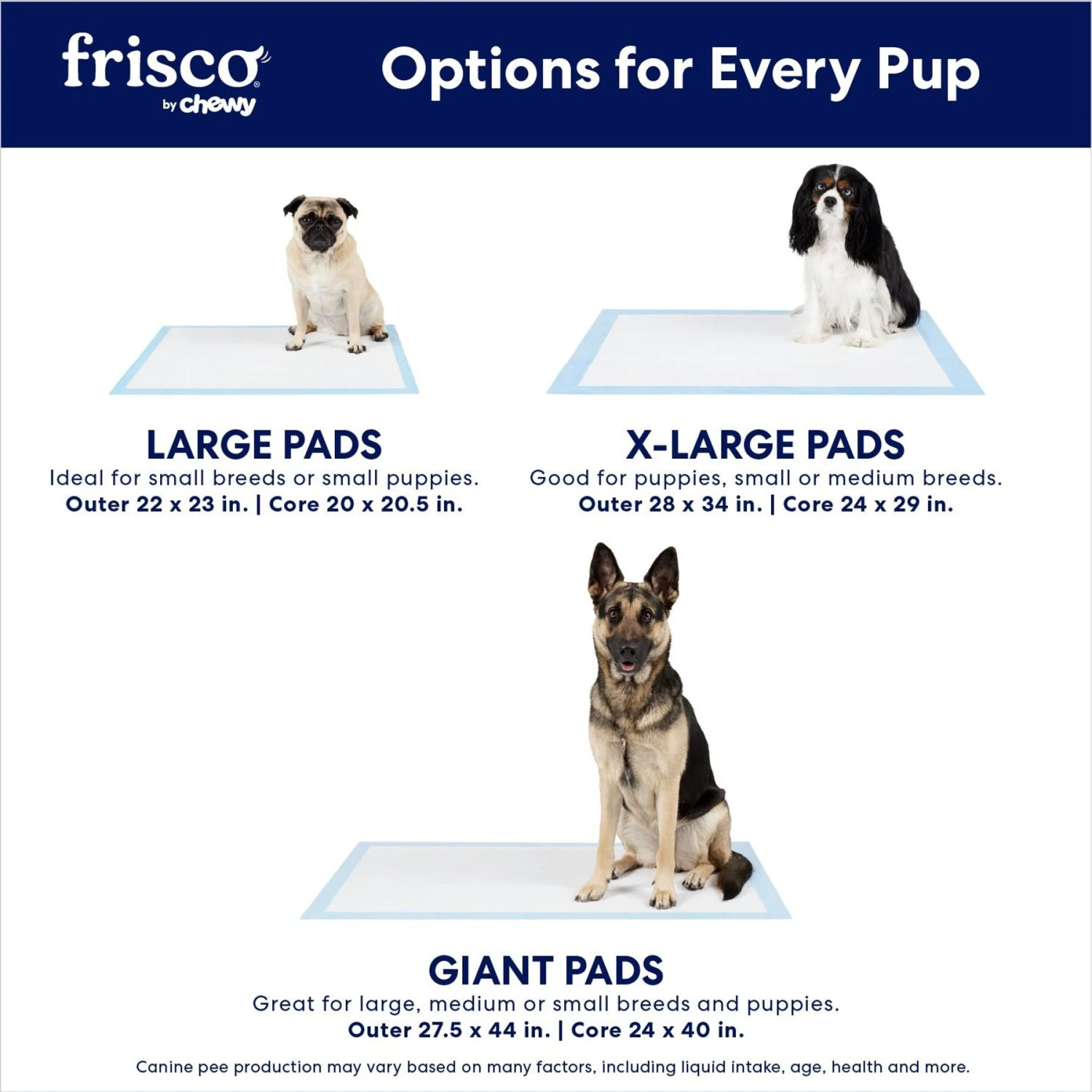 Frisco Extra Large Eco-Conscious Dog Training & Potty Pads 6 Frisco Extra Large Eco-Conscious Dog Training & Potty Pads - Image 4