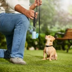 Frisco Dog Poop Bag Square Design Dispenser -Frisco 309816 PT5. AC SS1800 V1670276147