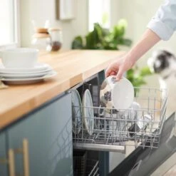 Frisco Animal Design Stainless Steel Dog & Cat Bowl 17 Frisco Animal Design Stainless Steel Dog & Cat Bowl -Frisco 311960 PT7. AC SS1800 V1642543141