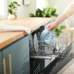 Frisco Coral Design Stainless Steel Dog & Cat Bowl 17 Frisco Coral Design Stainless Steel Dog & Cat Bowl -Frisco 311972 PT7. AC SS1800 V1642543254