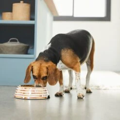 Frisco Copper Print Design Stainless Steel Dog & Cat Bowl -Frisco 311975 PT2. AC SS1800 V1642542895