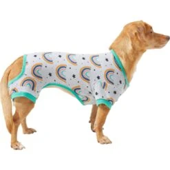 Frisco Rainbow Dog & Cat PJs