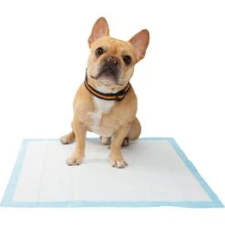 Frisco Training Pad Holder & Frisco Premium Dog Training & Potty Pads -Frisco 319526 PT8. AC SS1800 V1630628180