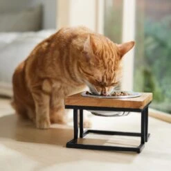 Frisco Premium Wood Elevated Single Dog & Cat Bowl 12 Frisco Premium Wood Elevated Single Dog & Cat Bowl -Frisco 331493 PT3. AC SS1800 V1657656892