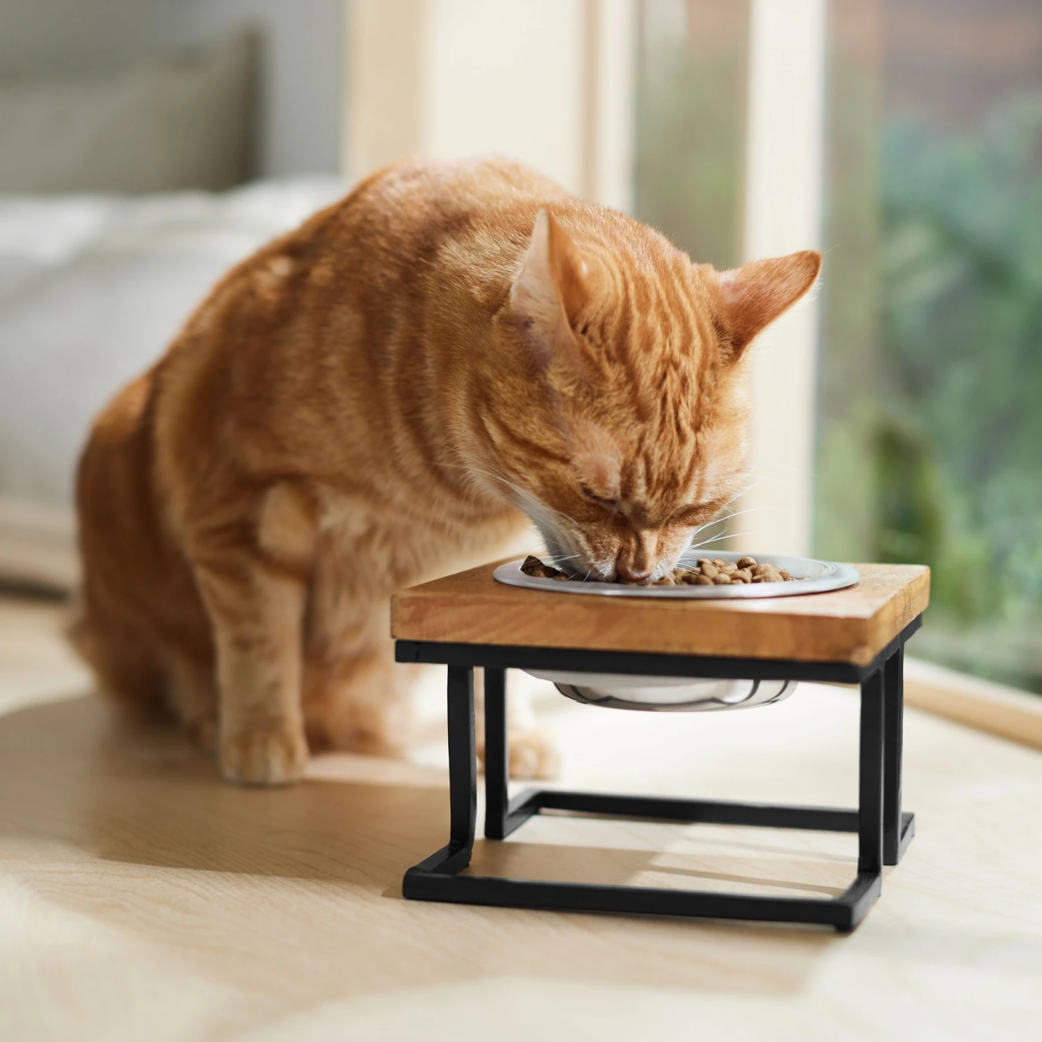 Frisco Premium Wood Elevated Single Dog & Cat Bowl 6 Frisco Premium Wood Elevated Single Dog & Cat Bowl - Image 4