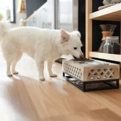 Frisco Premium Wood Elevated Stainless Steel Double Diner Dog & Cat Bowl, 3 Cup 9 Frisco Premium Wood Elevated Stainless Steel Double Diner Dog & Cat Bowl, 3 Cup -Frisco 331507 PT2. AC SS1800 V1657656894