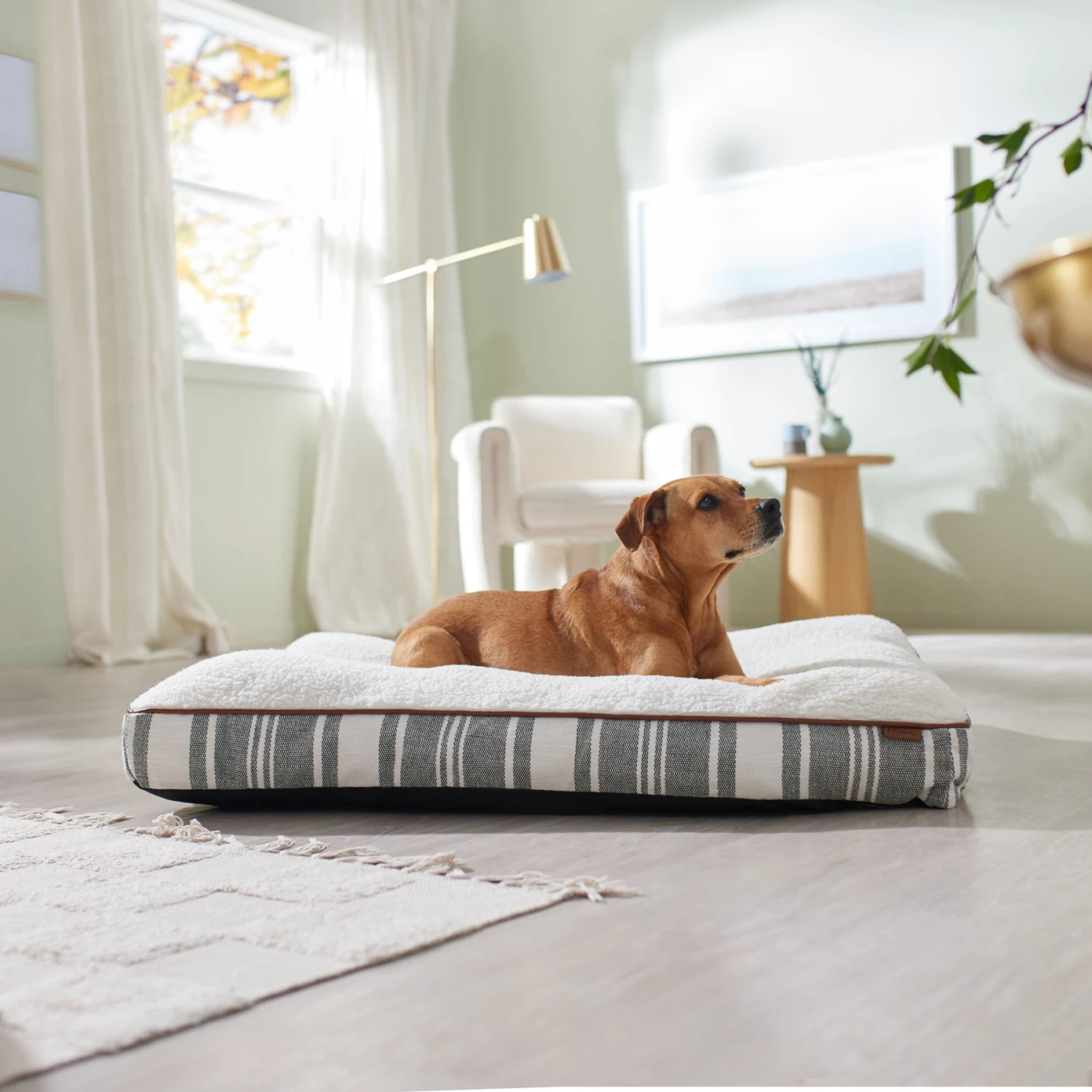 Frisco Farmhouse Rectangular Gusset Dog Bed W/ Removable Cover 3 Frisco Farmhouse Rectangular Gusset Dog Bed W/ Removable Cover