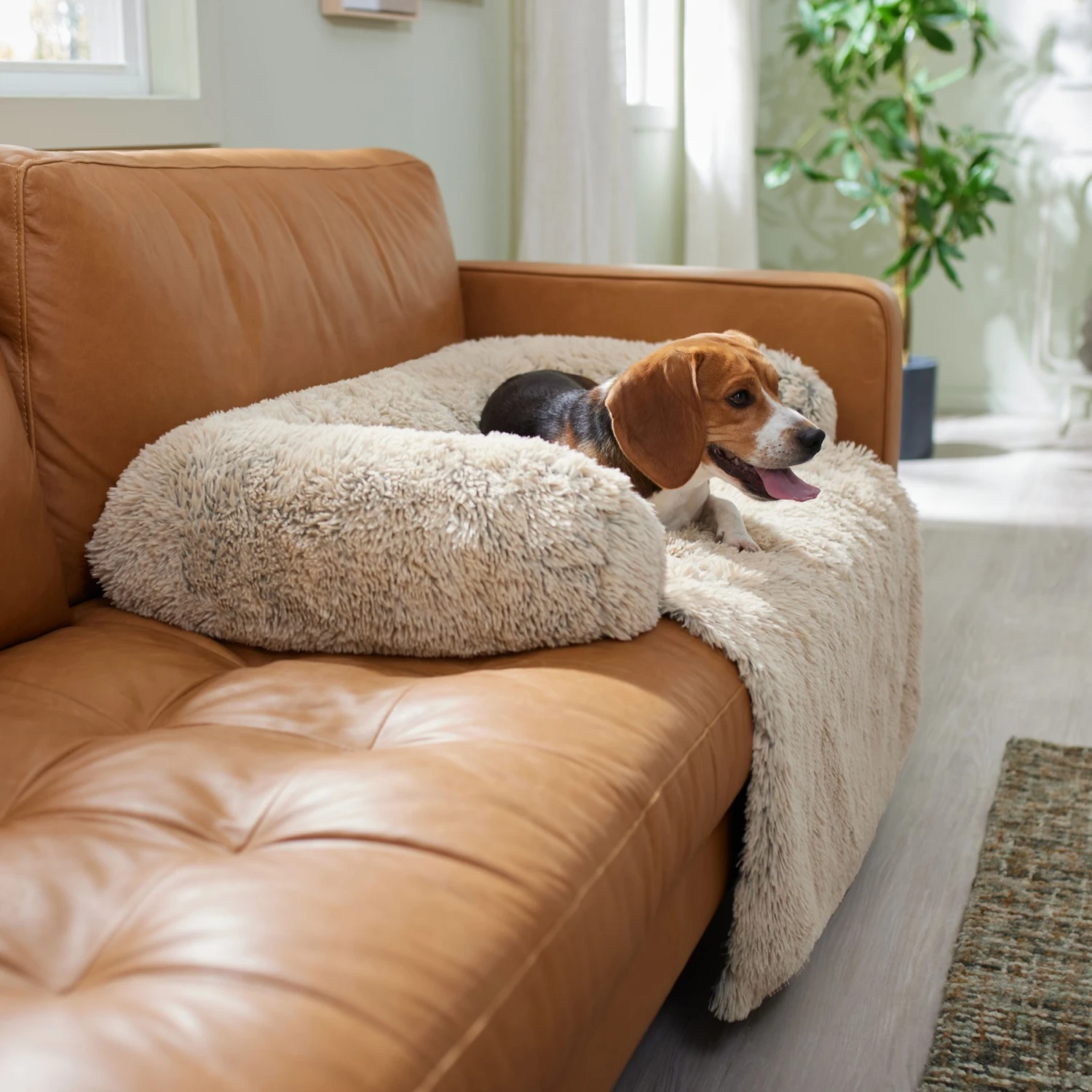 Frisco Dog & Cat Couch Cover With Bolsters 3 Frisco Dog & Cat Couch Cover With Bolsters
