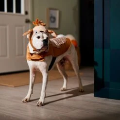 Frisco Deer Dog & Cat Costume 14 Frisco Deer Dog & Cat Costume -Frisco 334874 PT7. AC SS1800 V1657720507