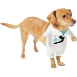 Frisco Front Walking Doctor Dog & Cat Costume 13 Frisco Front Walking Doctor Dog & Cat Costume -Frisco 334900 PT3. AC SS1800 V1658344549