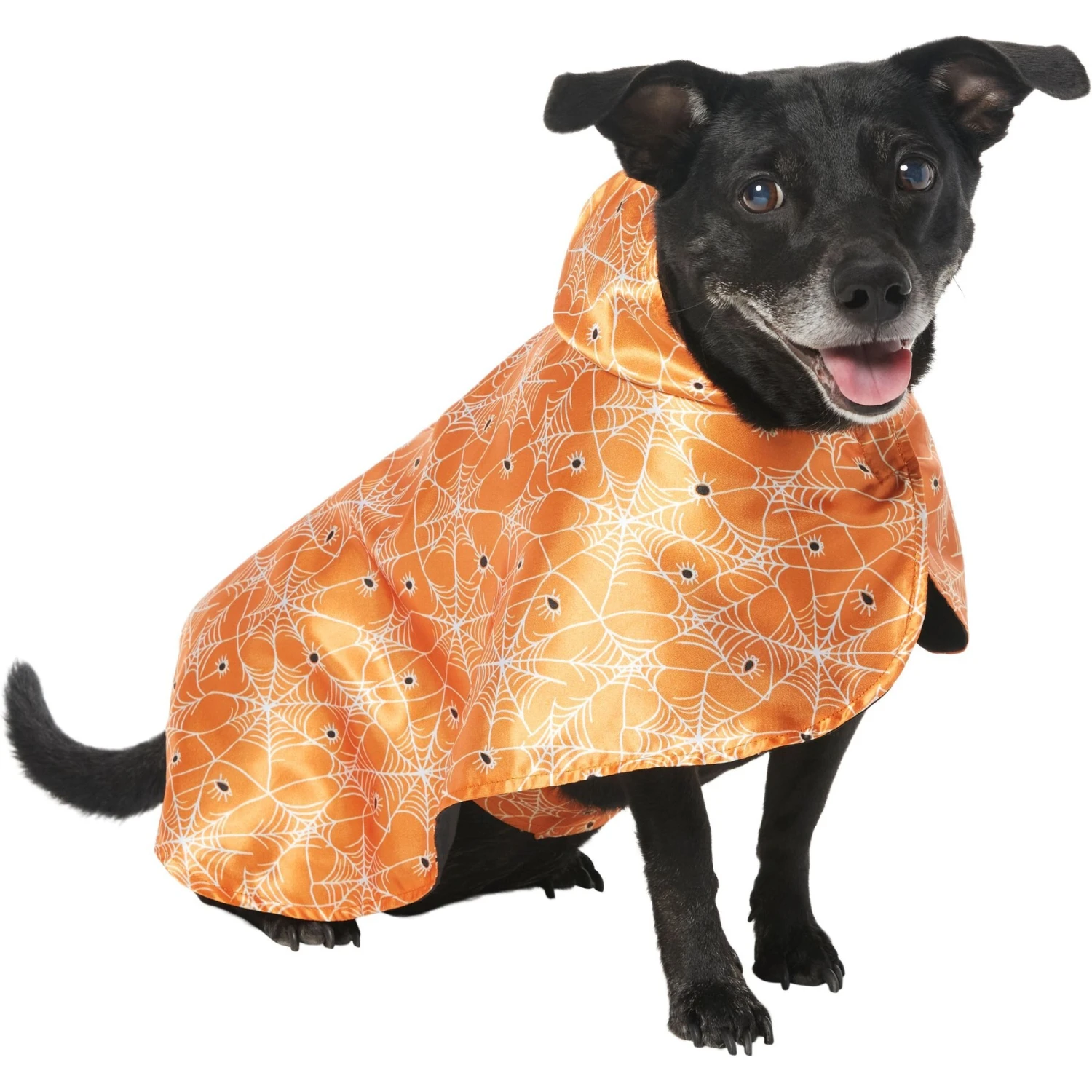 Frisco Spider Webbed Dog & Cat Costume Cape 3 Frisco Spider Webbed Dog & Cat Costume Cape