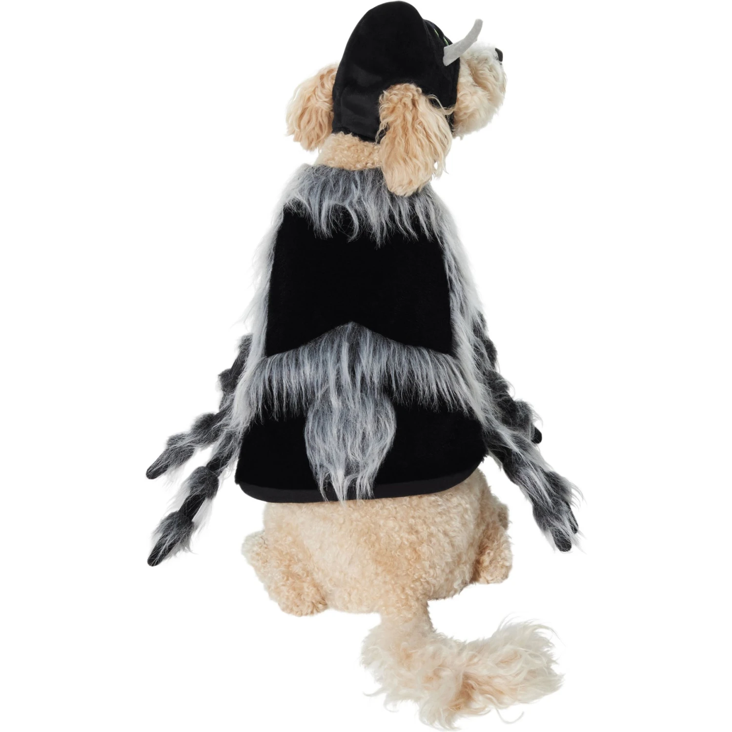 Frisco Spider Dog & Cat Costume 5 Frisco Spider Dog & Cat Costume - Image 3