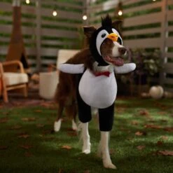 Frisco Front Walking Penguin Dog & Cat Costume 16 Frisco Front Walking Penguin Dog & Cat Costume -Frisco 335062 PT7. AC SS1800 V1657718971