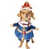 Frisco Front Walking Royal King Dog & Cat Costume 1 Frisco Front Walking Royal King Dog & Cat Costume -Frisco 335127 MAIN. AC SS1800 V1658342828