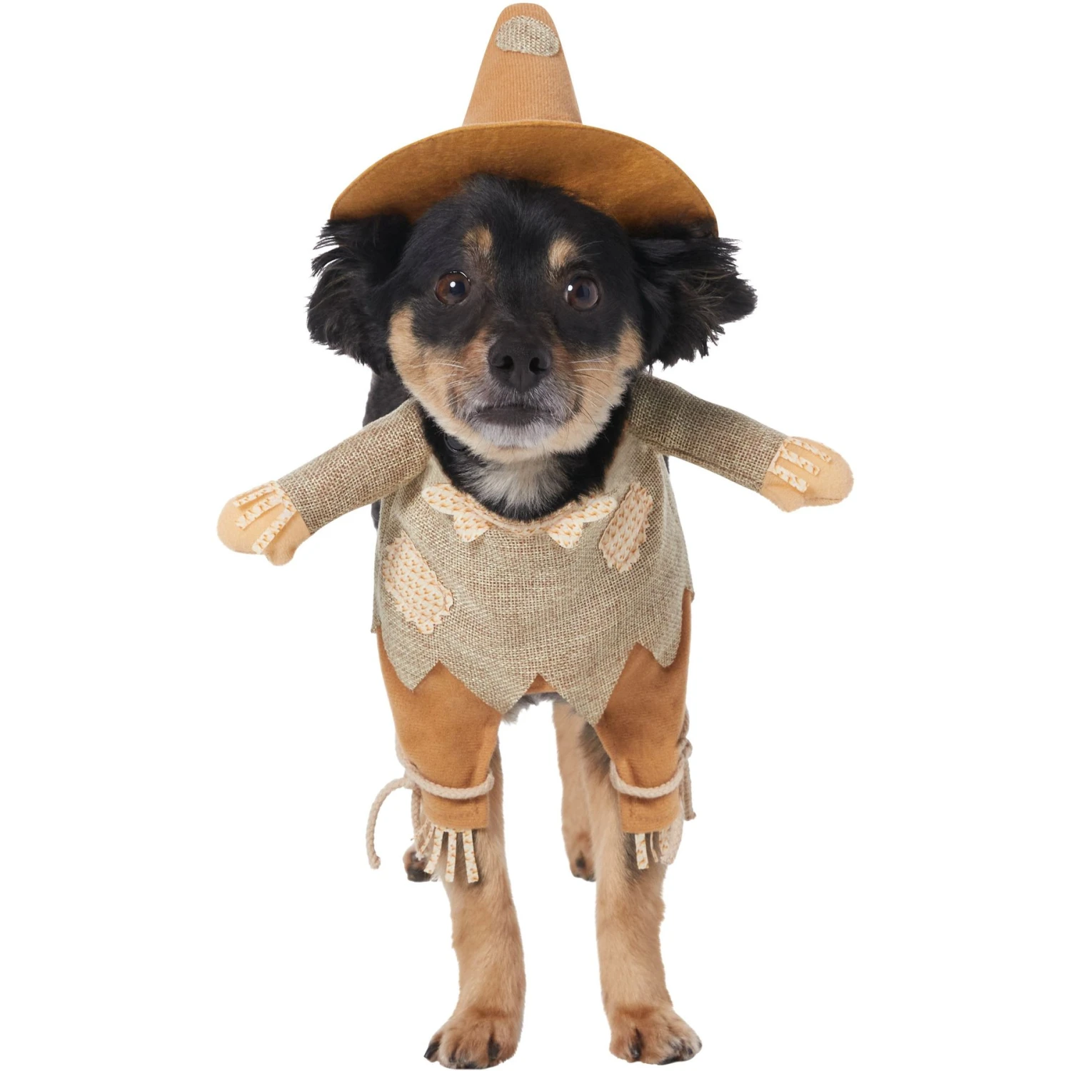 Frisco Front Walking Scarecrow Dog & Cat Costume 3 Frisco Front Walking Scarecrow Dog & Cat Costume