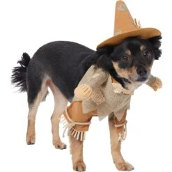 Frisco Front Walking Scarecrow Dog & Cat Costume 13 Frisco Front Walking Scarecrow Dog & Cat Costume -Frisco 335135 PT3. AC SS1800 V1658349680