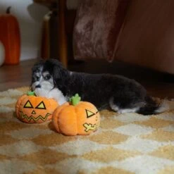Frisco Halloween Scary Jack-O-Lantern Plush Squeaky Dog Toy 9 Frisco Halloween Scary Jack-O-Lantern Plush Squeaky Dog Toy -Frisco 344158 PT3. AC SS1800 V1657657048