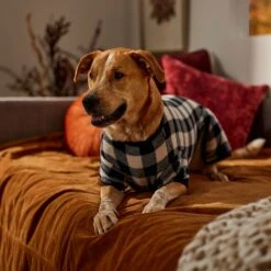 Frisco Plaid Dog & Cat Fleece Pajamas 12 Frisco Plaid Dog & Cat Fleece Pajamas -Frisco 353755 PT6. AC SS1800 V1660749967